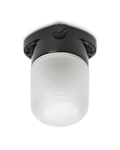 Ceiling light LISILUX black S frosted